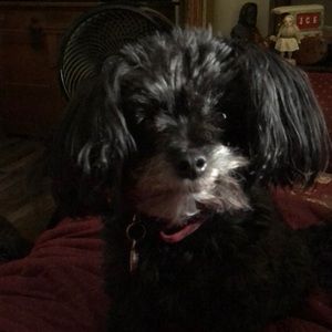 Meet your Posher, Kimberly